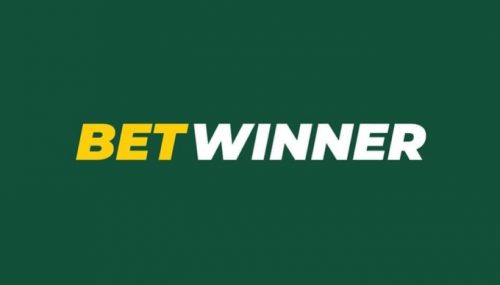 Everything You Need to Know About BetWinner Bets 7