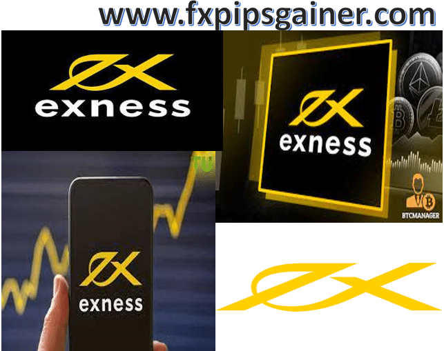 Unlocking the Potential of Forex Trading with Exness