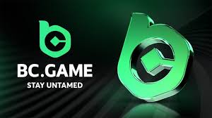 How to Successfully Login to BC Game