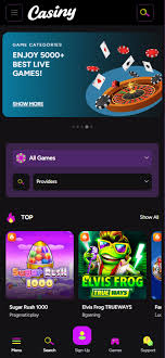 Experience the Thrills of Casiny Online Casino